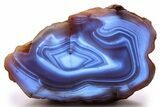 Colorful Polished Patagonia Agate - Highly Fluorescent! #260756-2